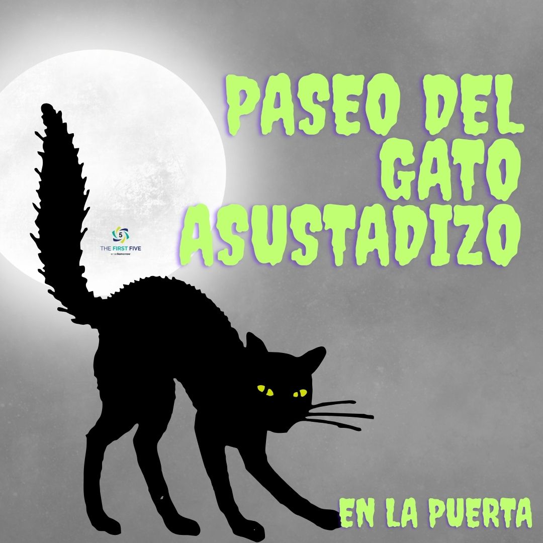 Paseo del Gato Miedoso