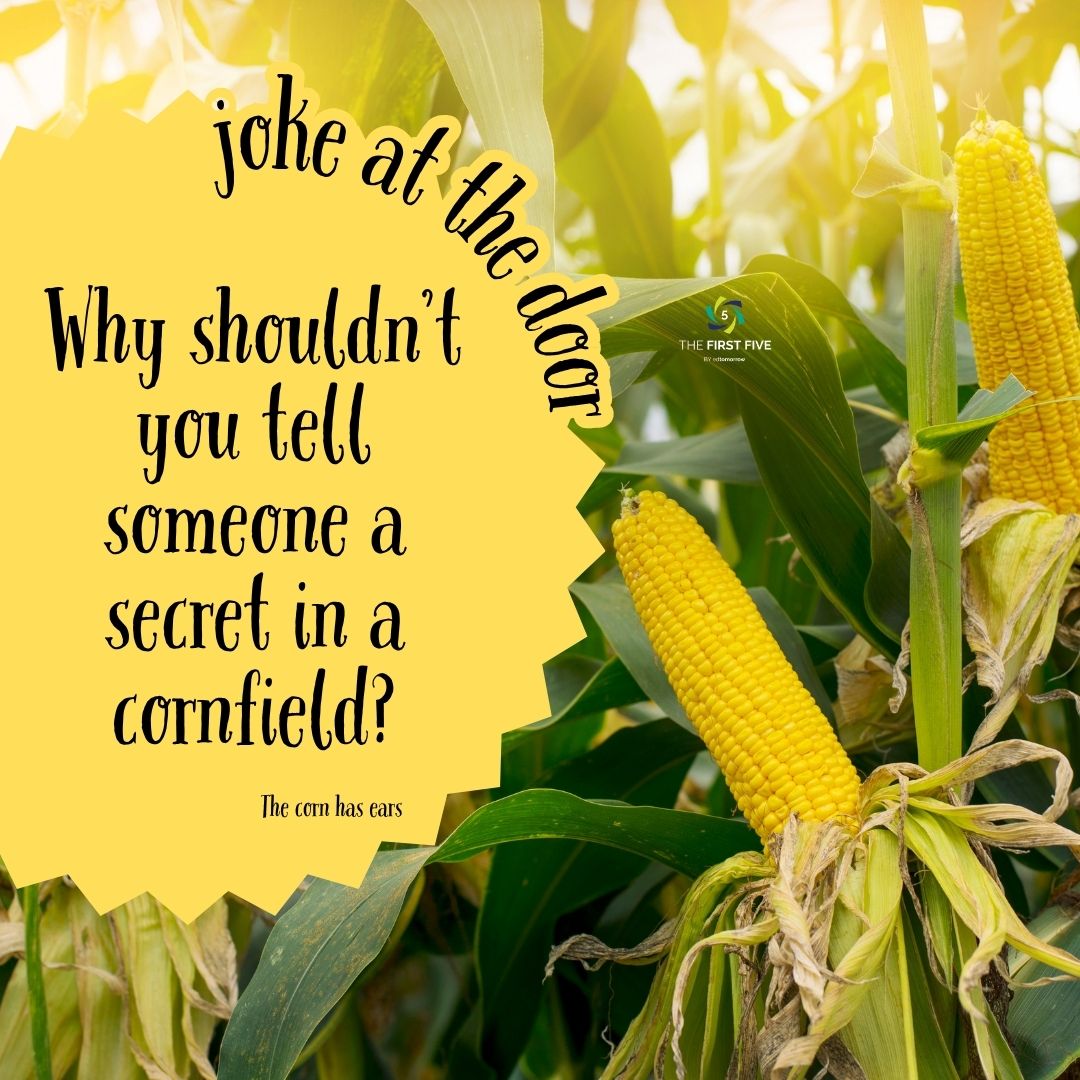 Cornfield Secret Joke
