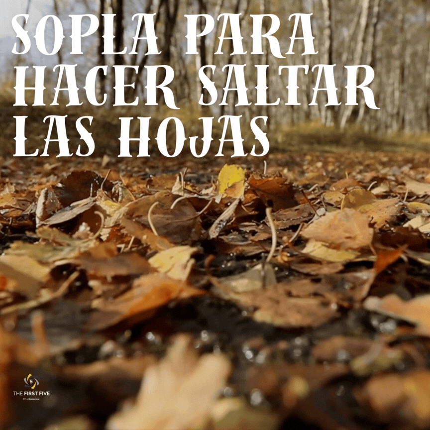 Hojas Saltarinas