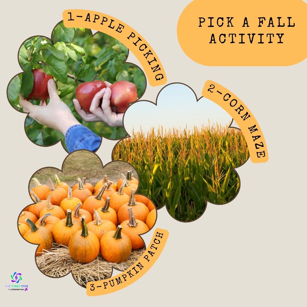 Fall Activity
