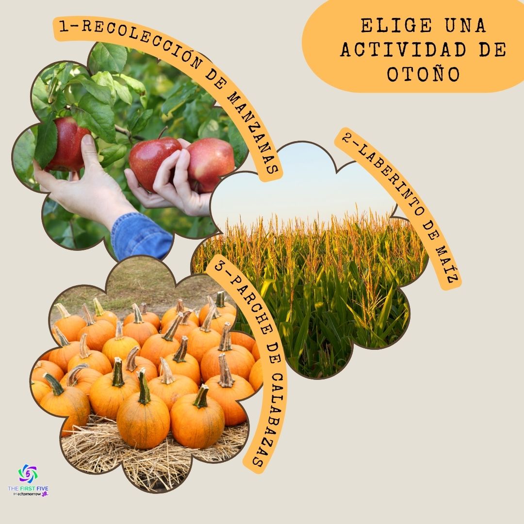 Actividad de Otoño