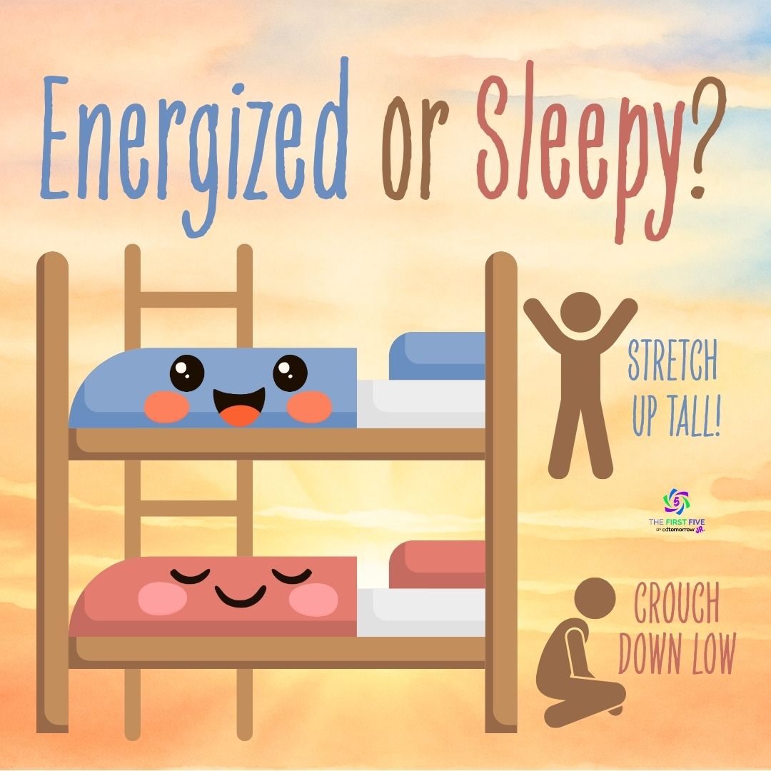 Energized or Sleepy Bunk Beds