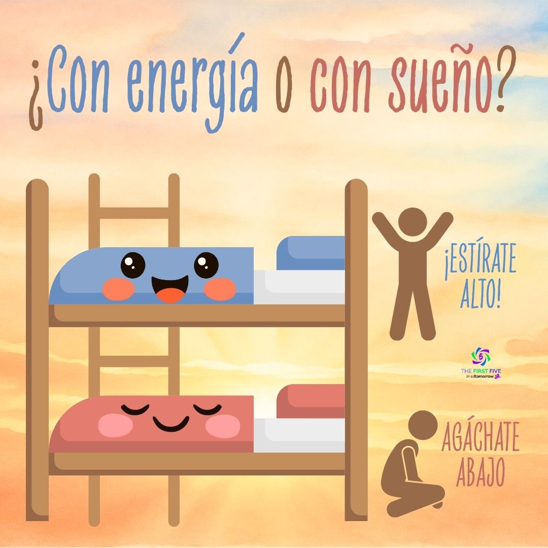 Literas Energizadas o Soñolientas