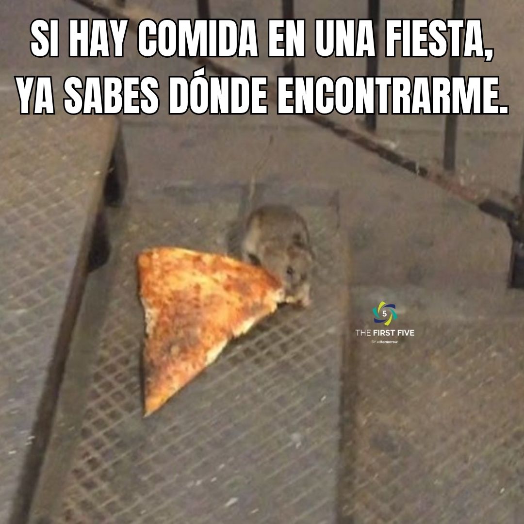 Comida de Fiesta Pizza Rata