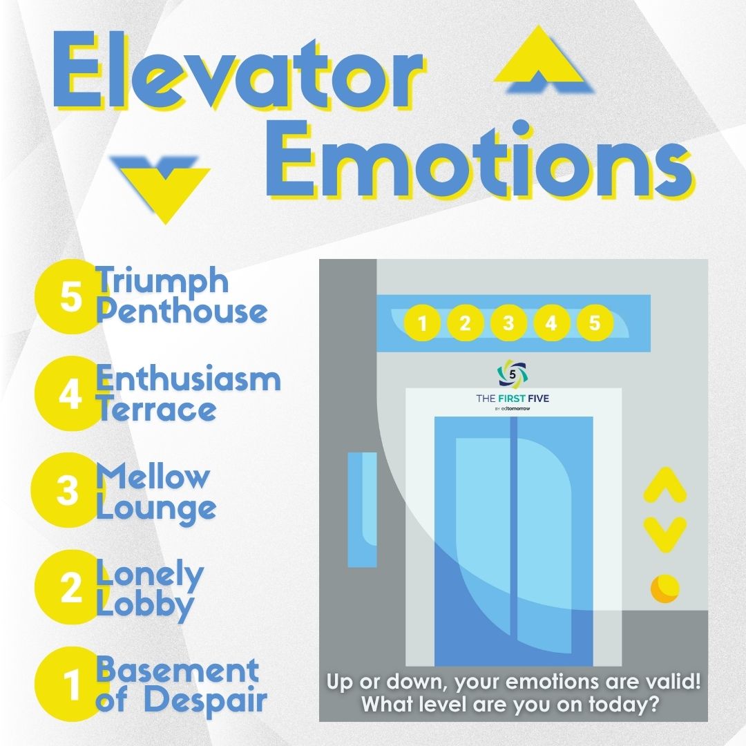Elevator Emotions Valid