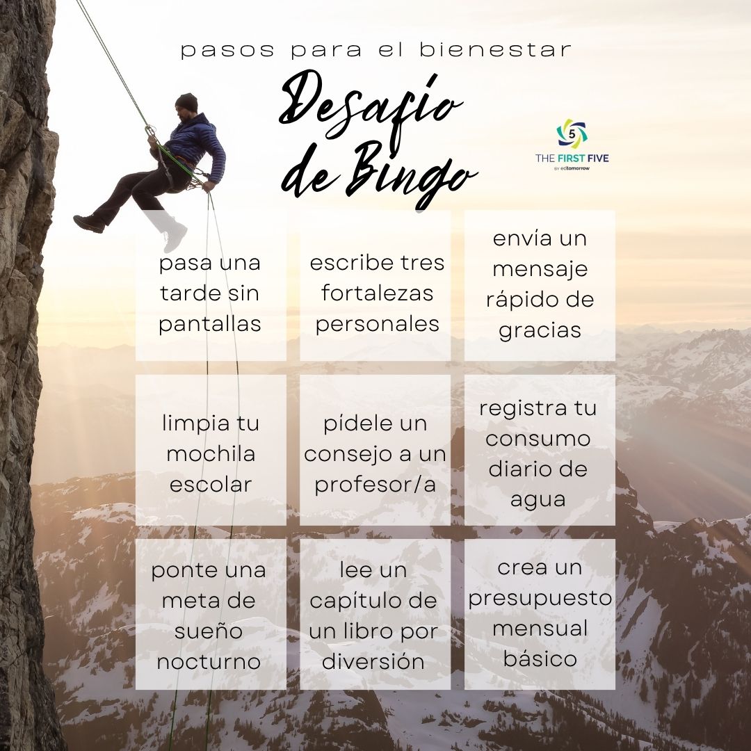 Bingo Pasos Para Bienestar