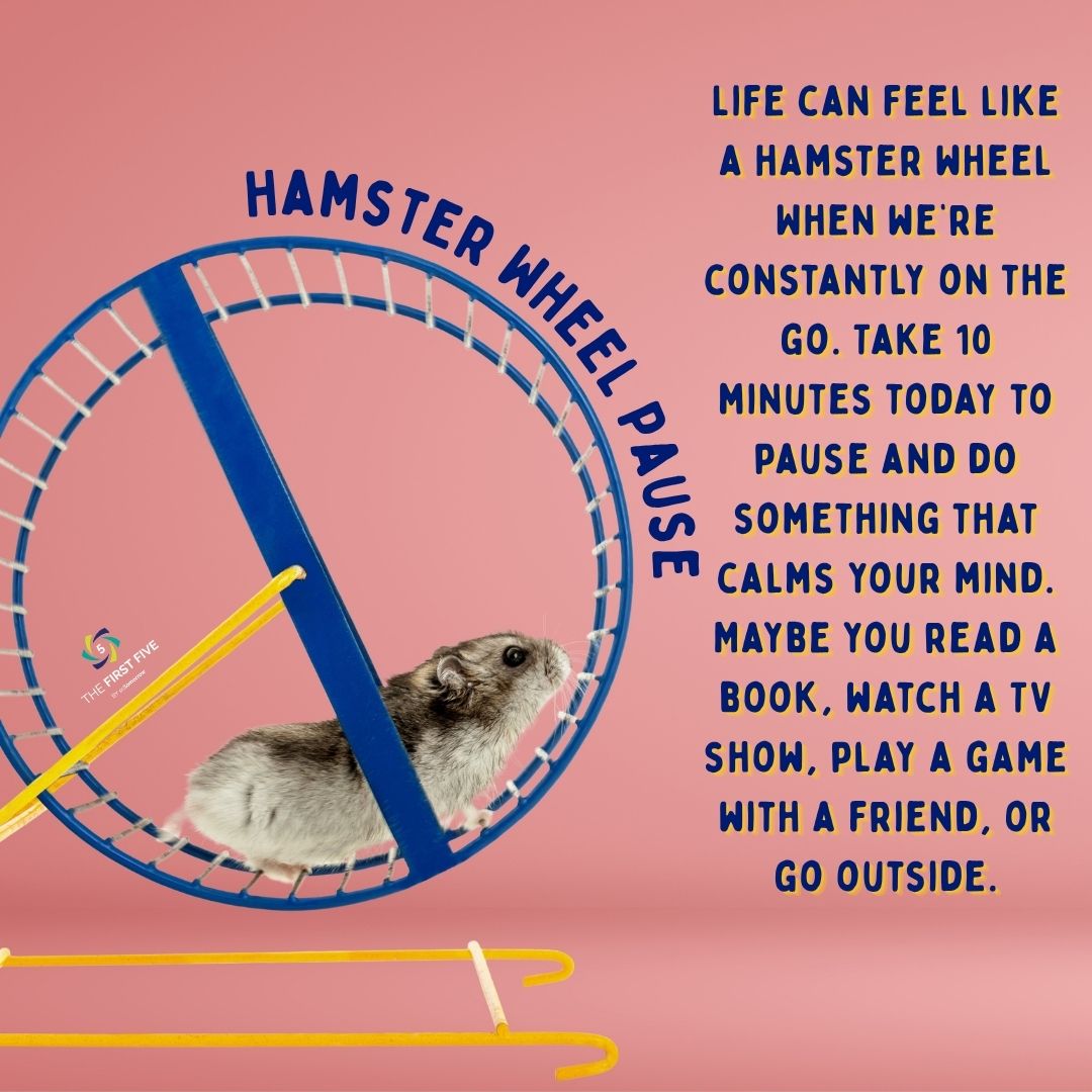 Hamster Wheel Pause