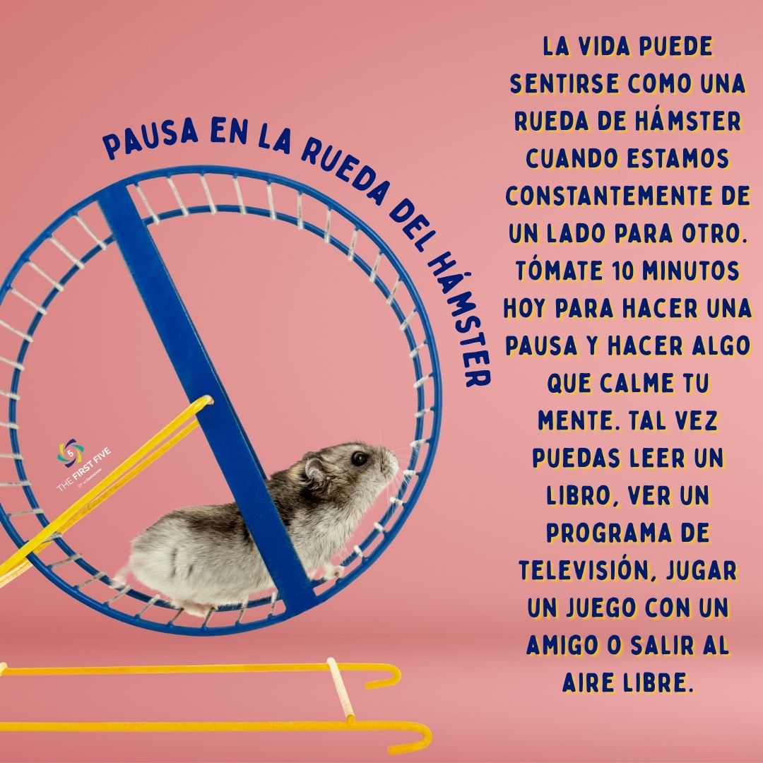Pausa en la Rueda del Hámster