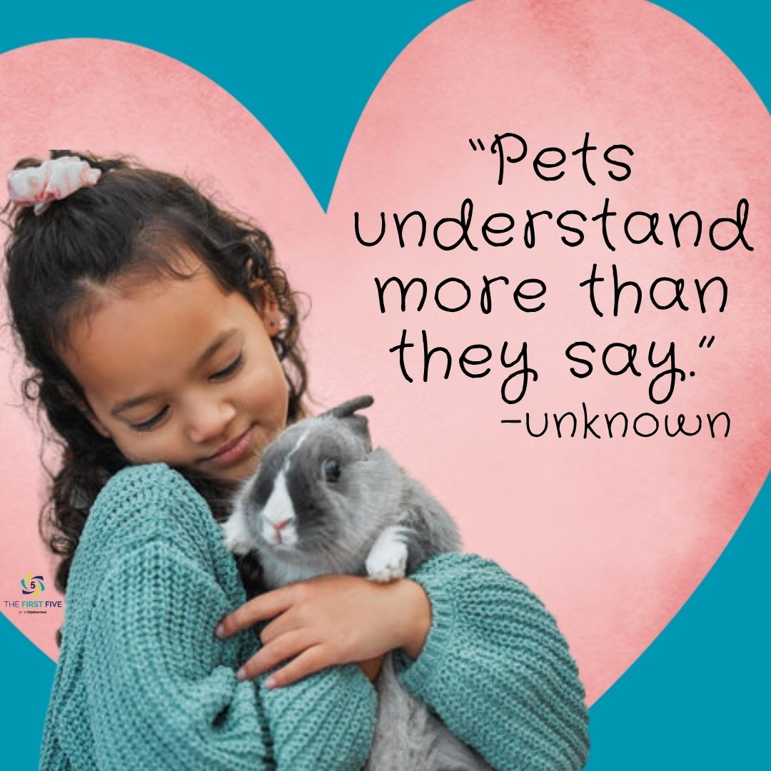 Understanding Pets