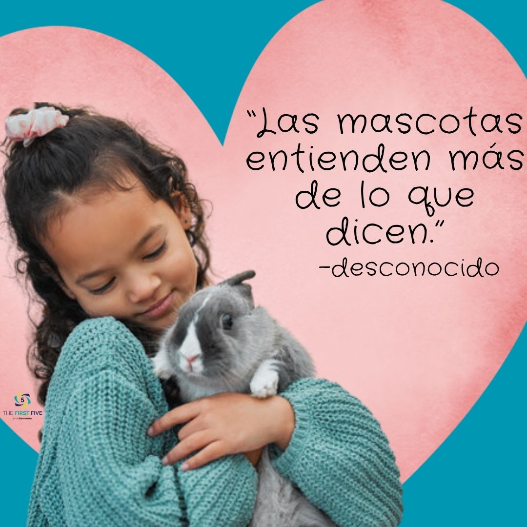 Entendiendo a las Mascotas