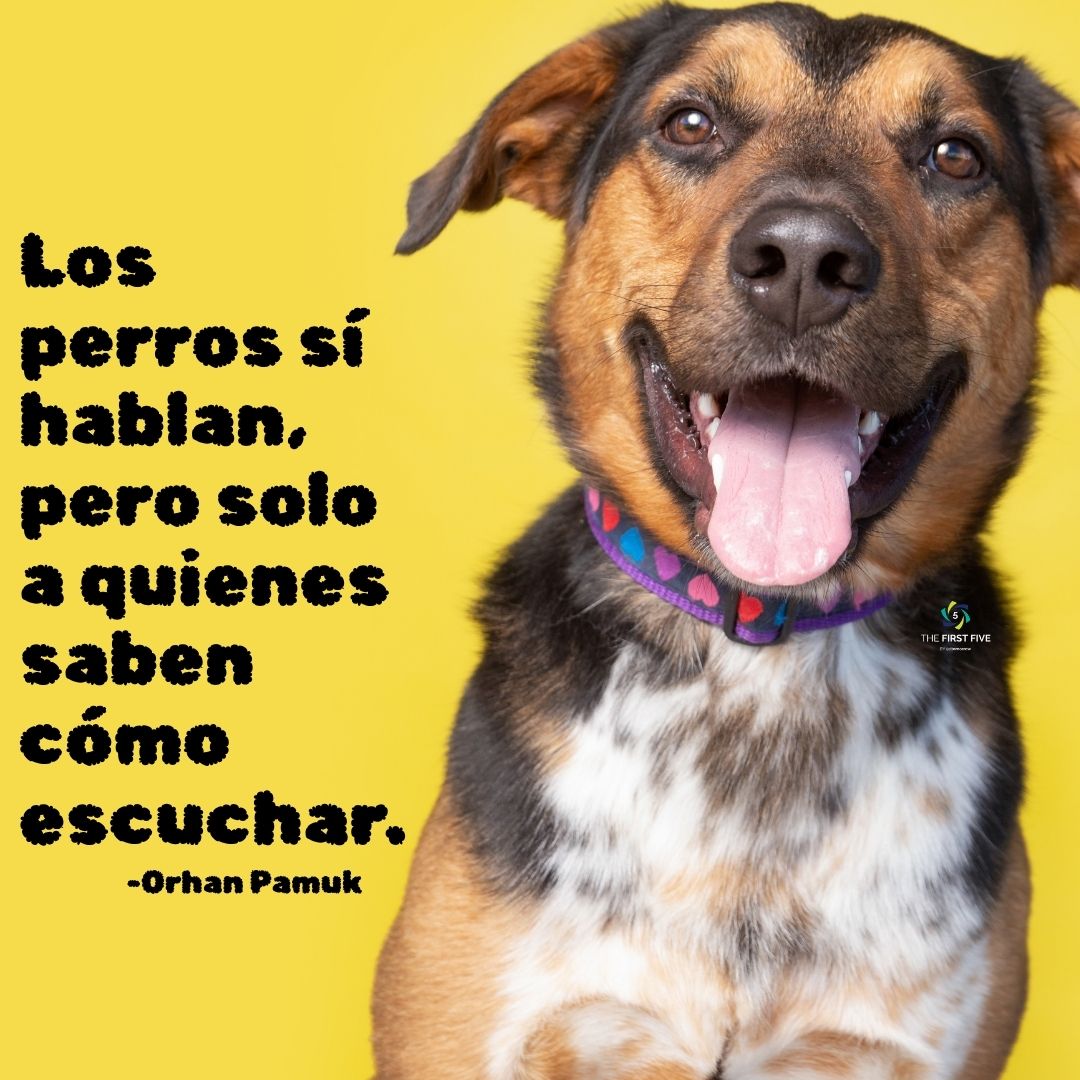 Orhan Pamuk Habla sobre Perros