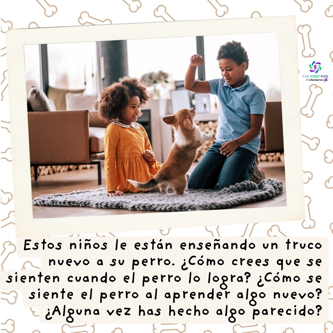 Nuevo Truco para Perros