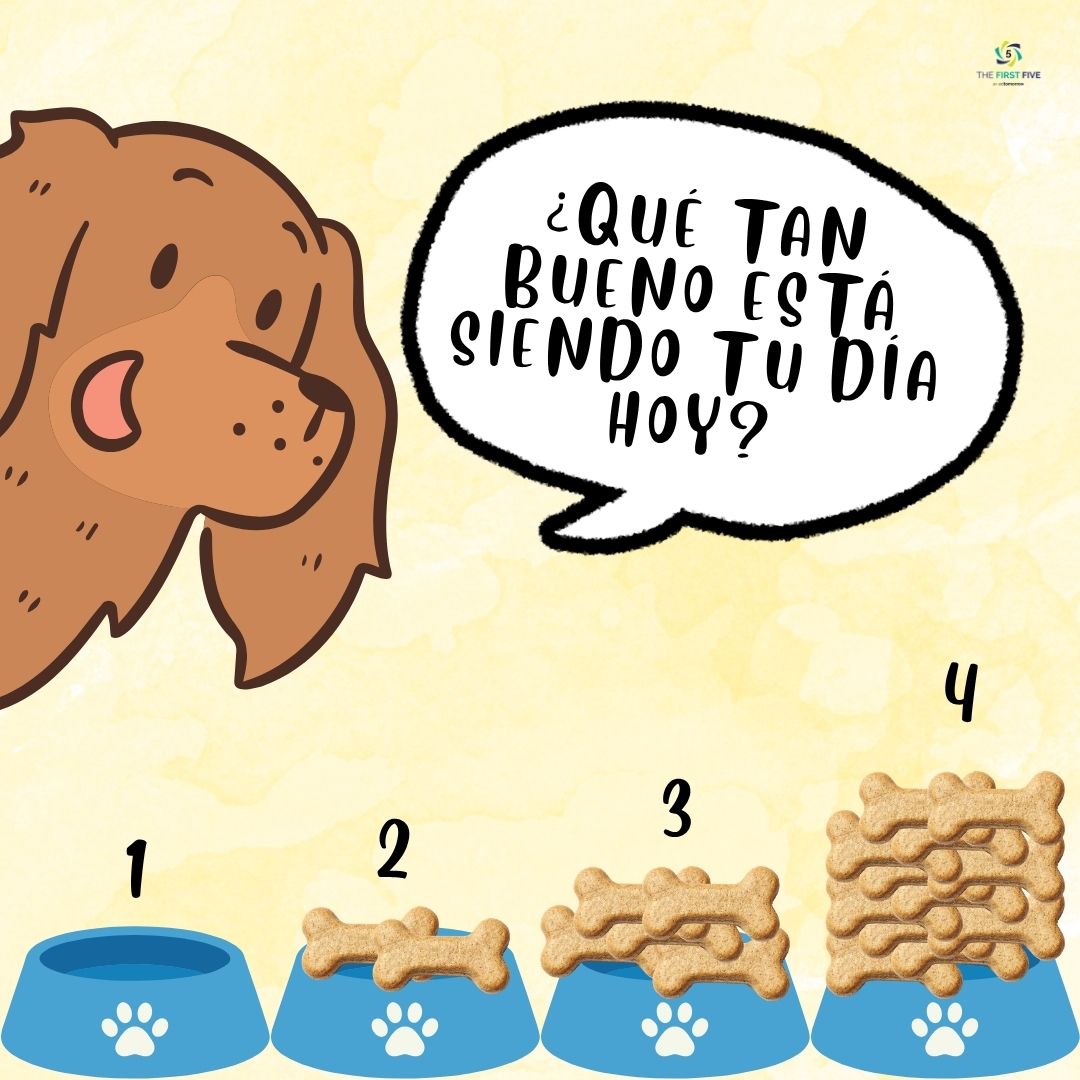 Un Buen Día Perruno