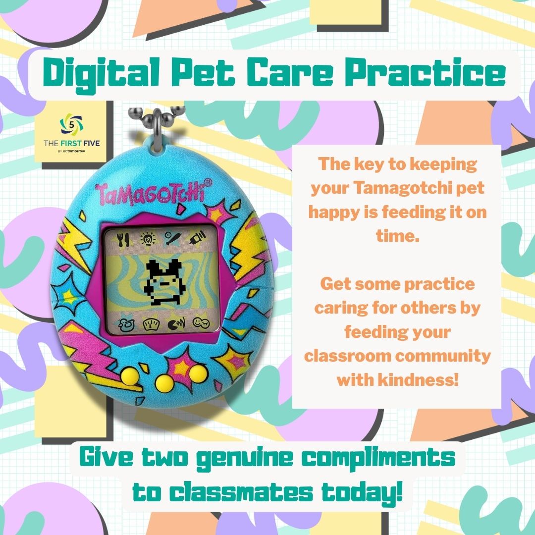 Digital Pet Care Practice