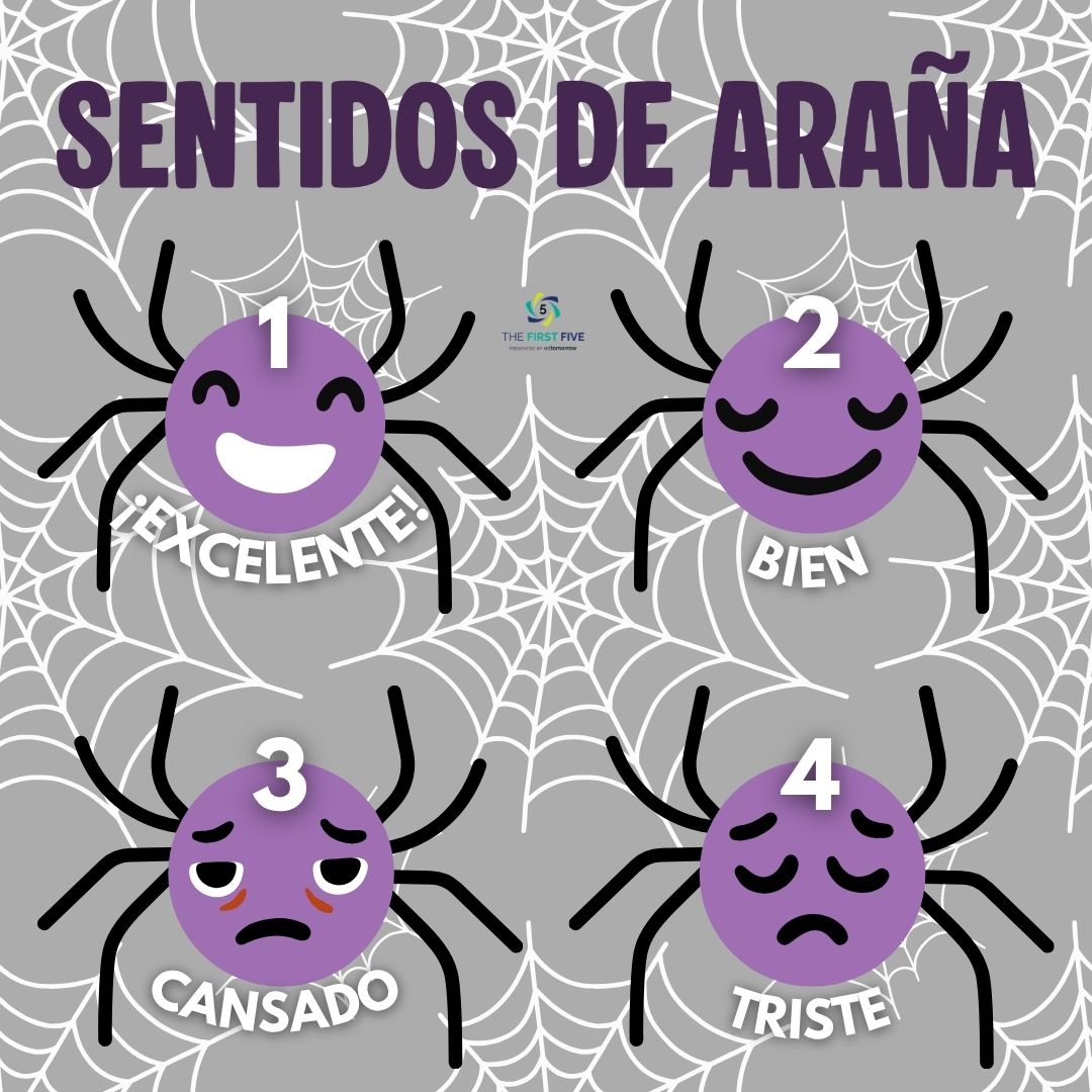 Sentidos de Araña