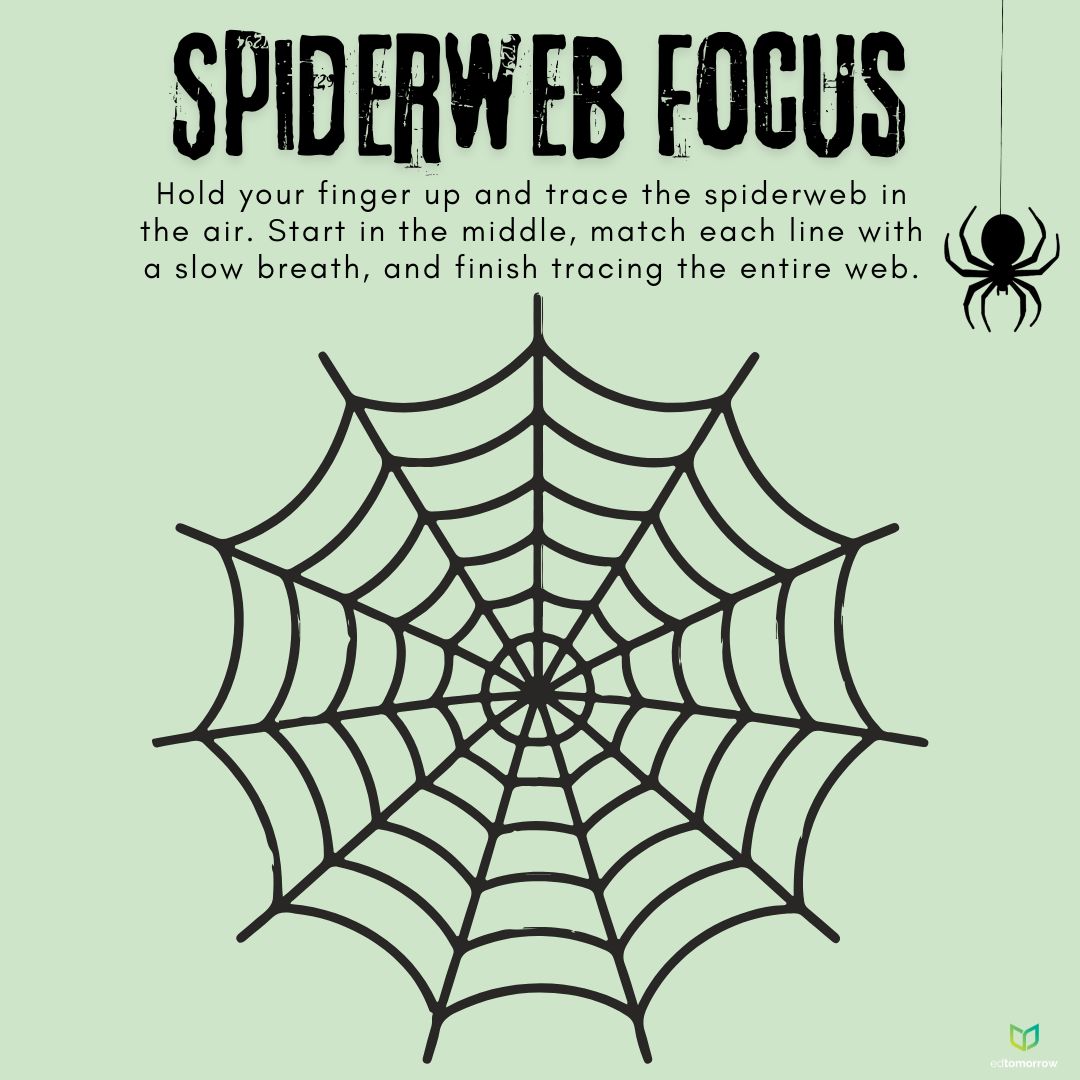 Spiderweb Focus