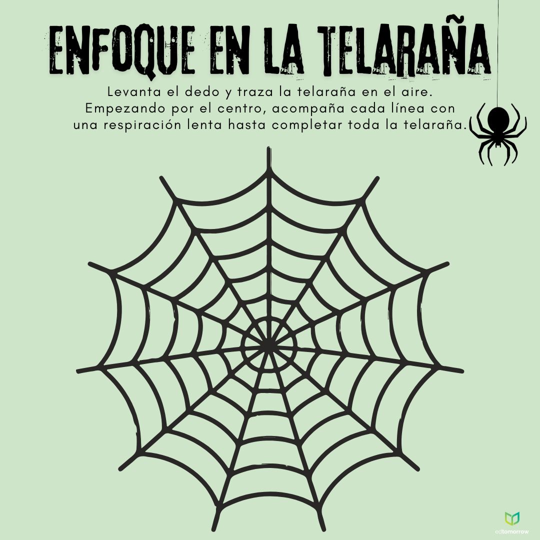 Enfoque en Telarañas