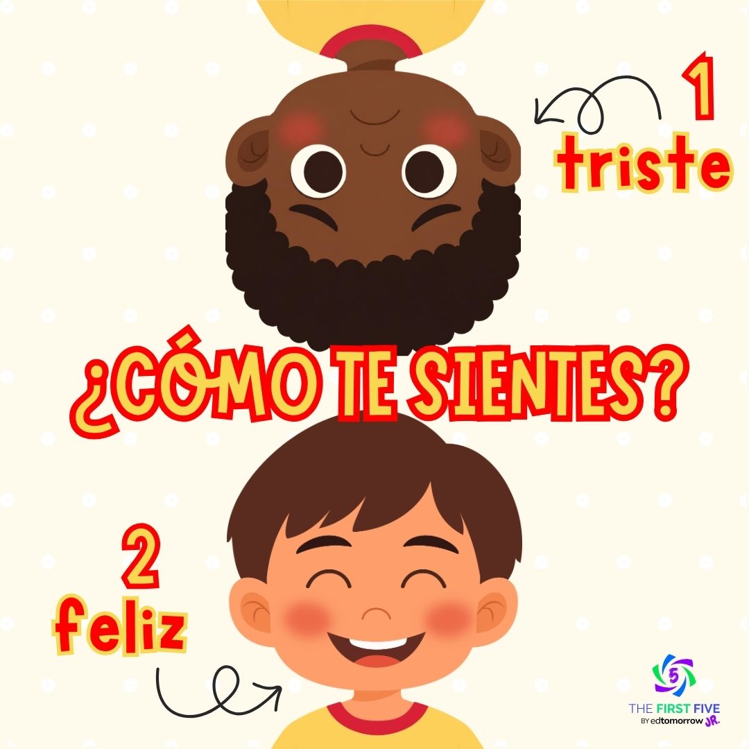 Feliz o Triste