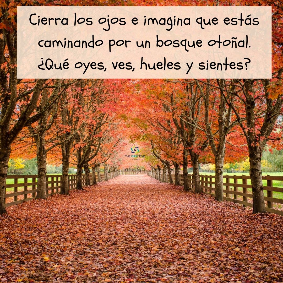 Paseo Sensorial de Otoño