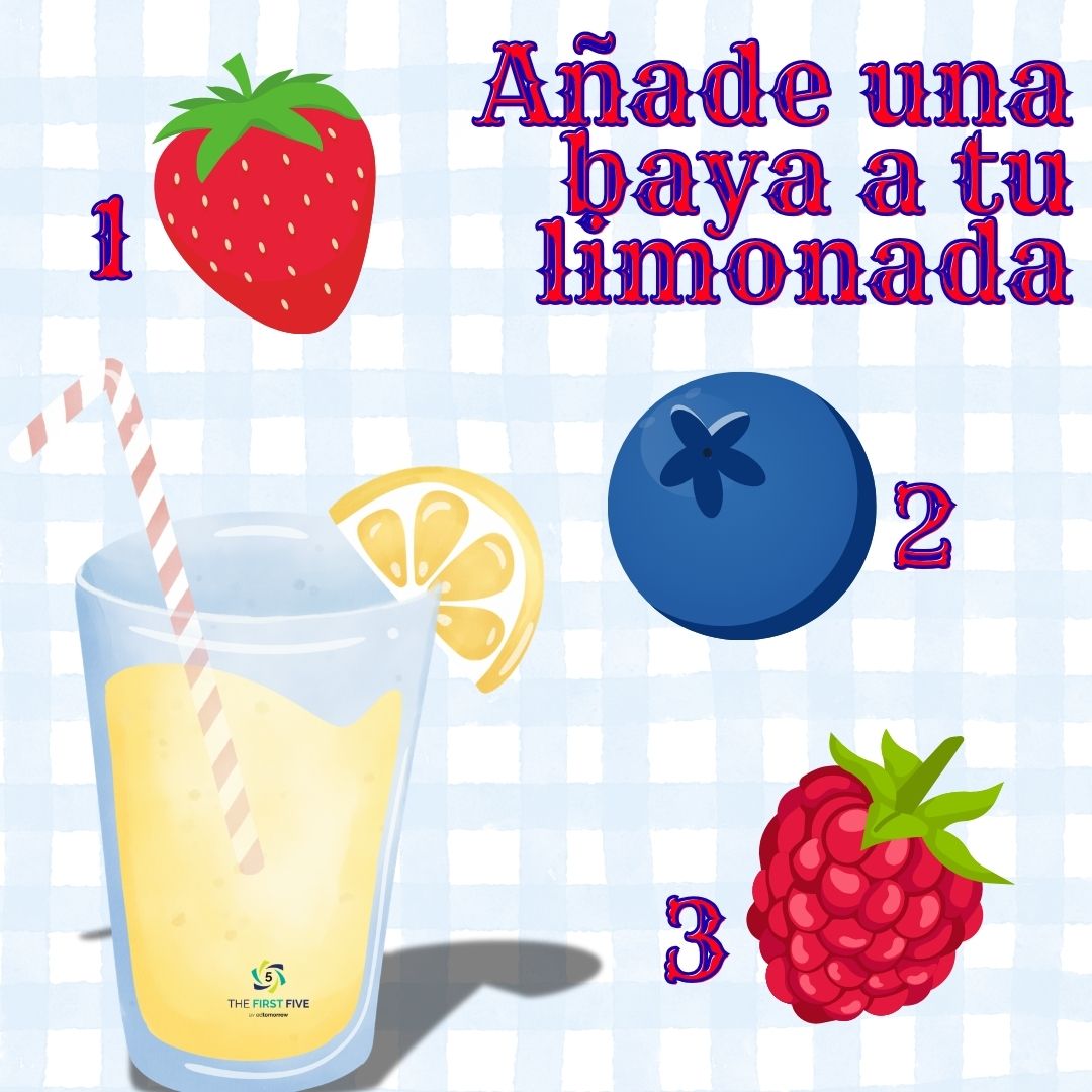 Limonada de Frutos Rojos