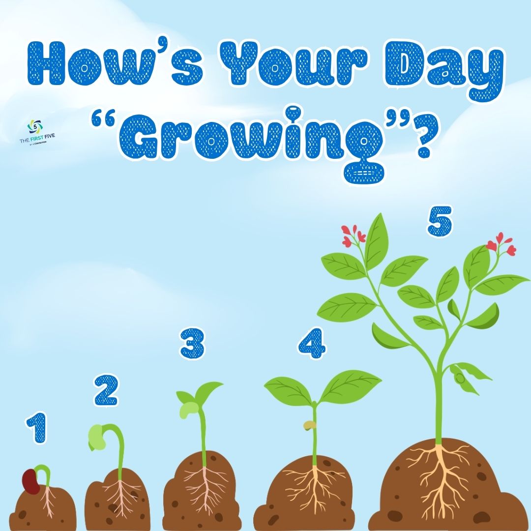 How’s Your Day Growing