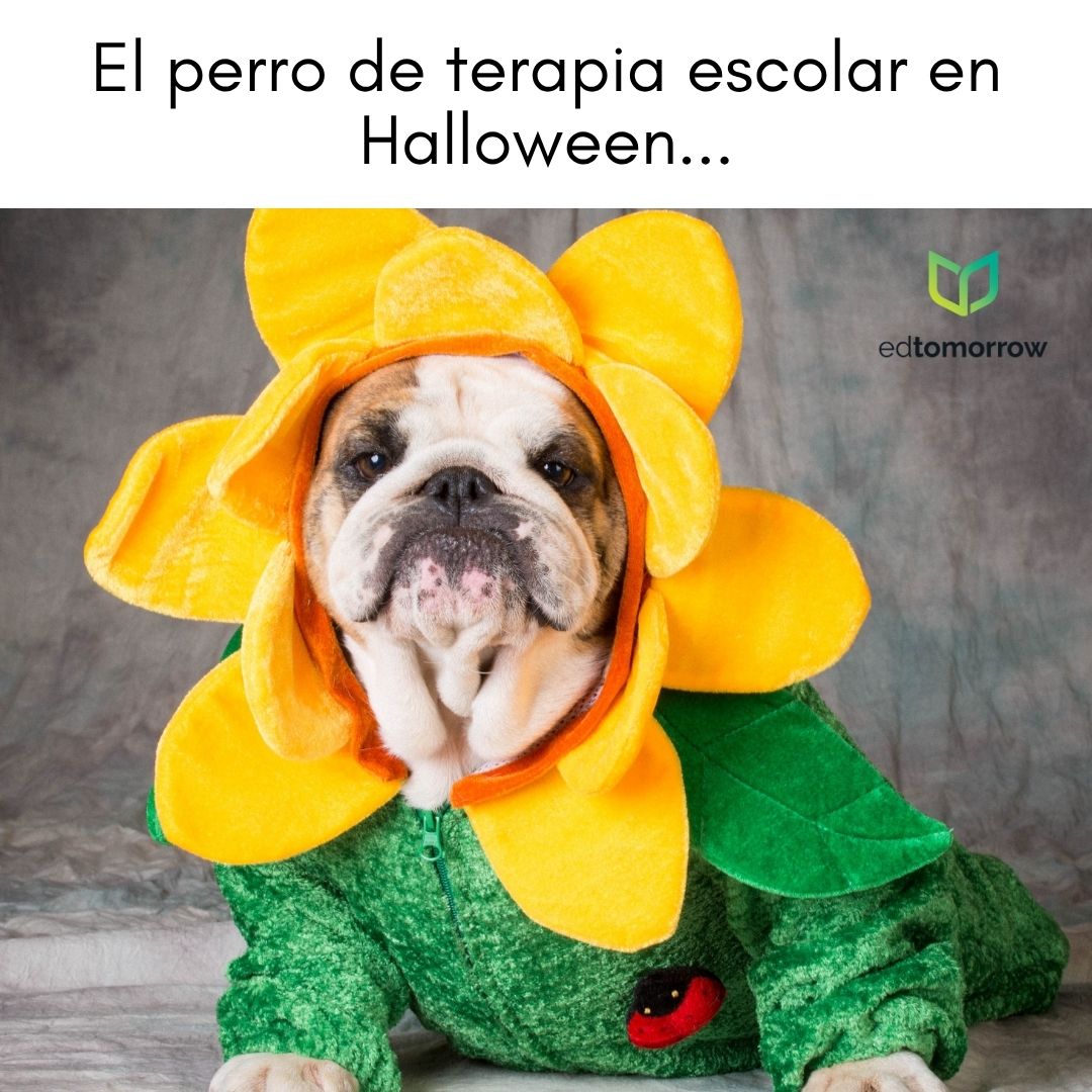 El Perro de Terapia Escolar en Halloween