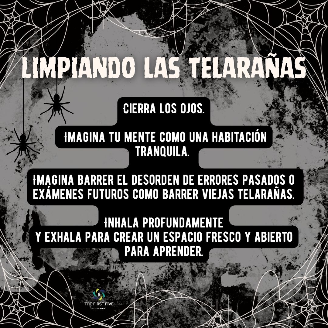 Limpiando las Telarañas