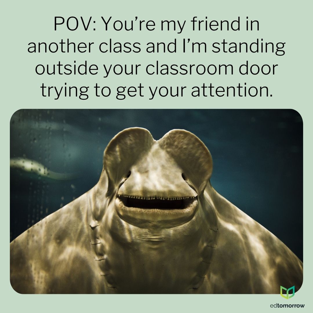 Friend POV