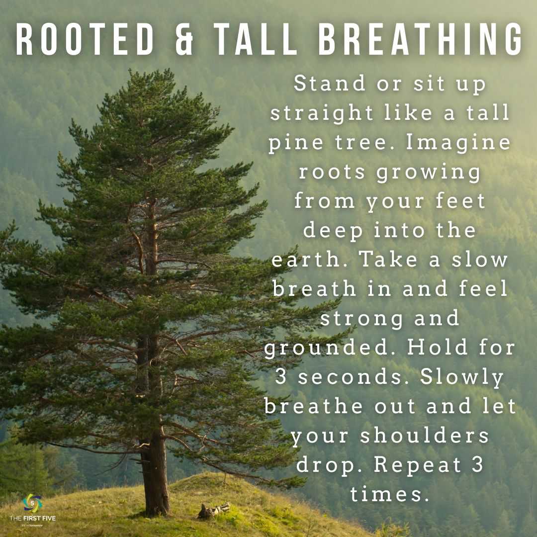 Rooted and Tall Breathing