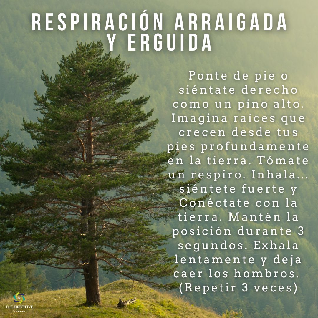 Respiración Enraizada y Alta
