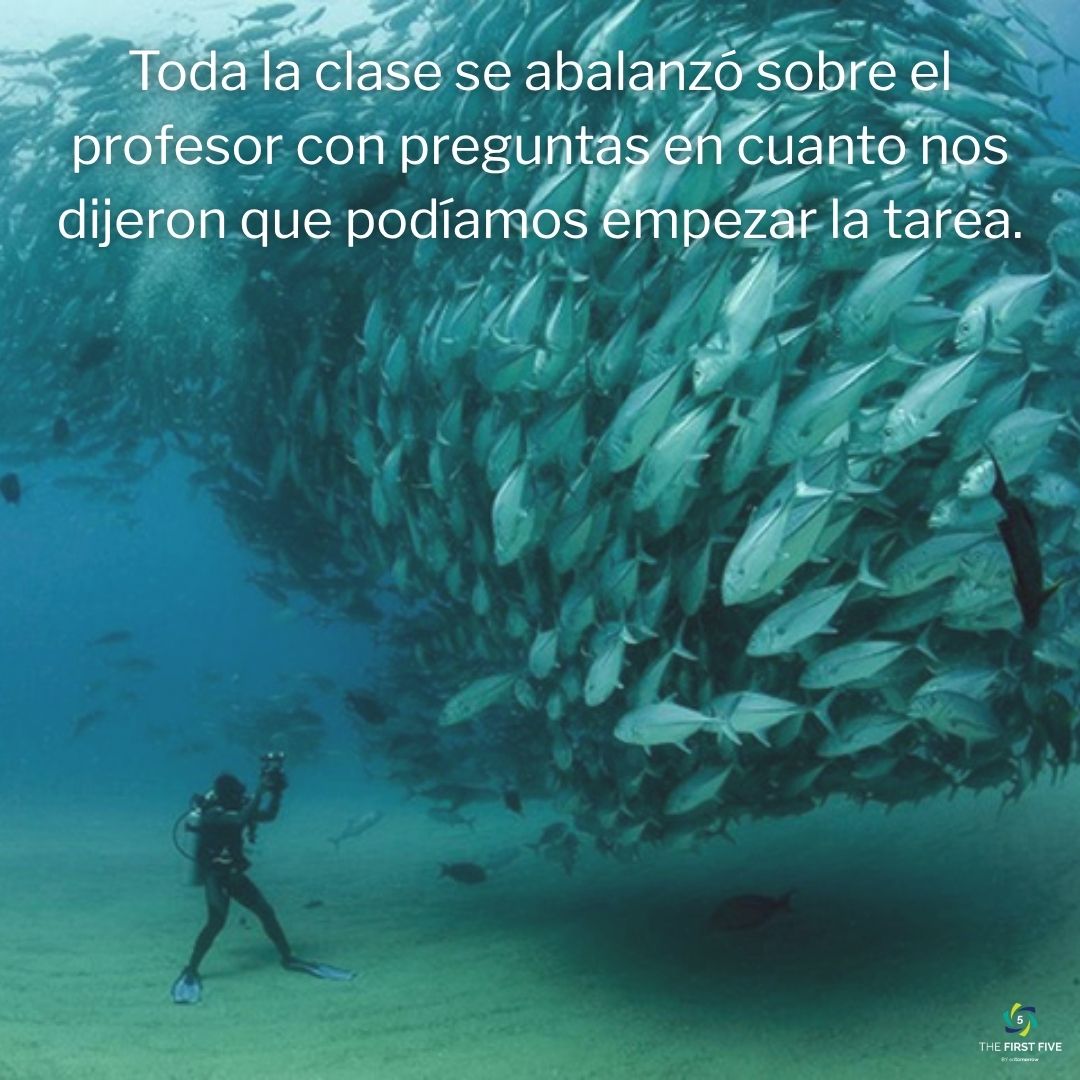 Estudiantes Enjambre Profesor