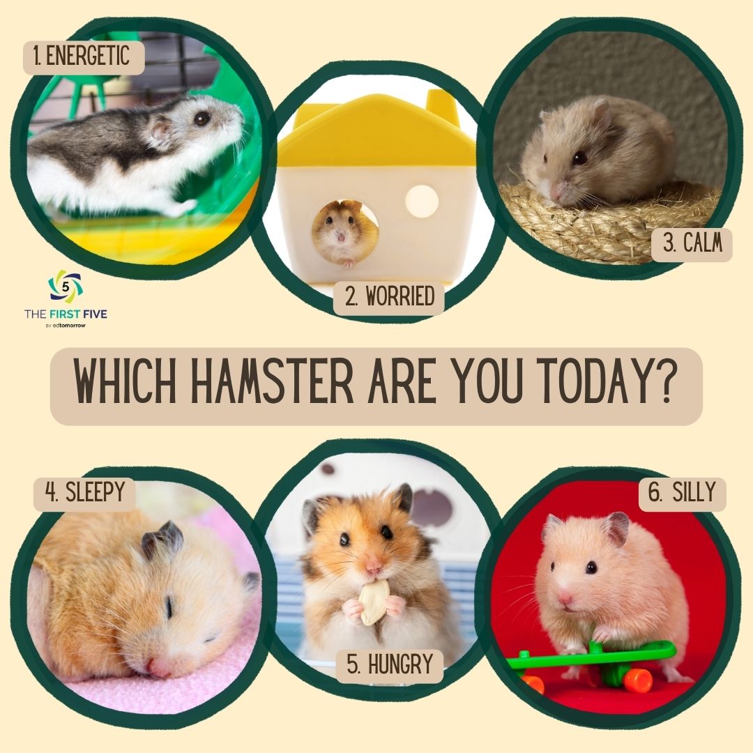 Hamster Scale