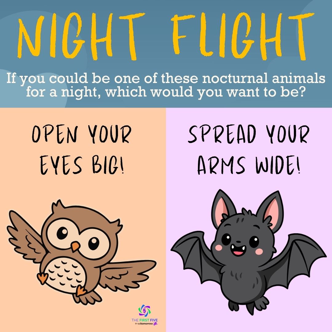 Night Flight
