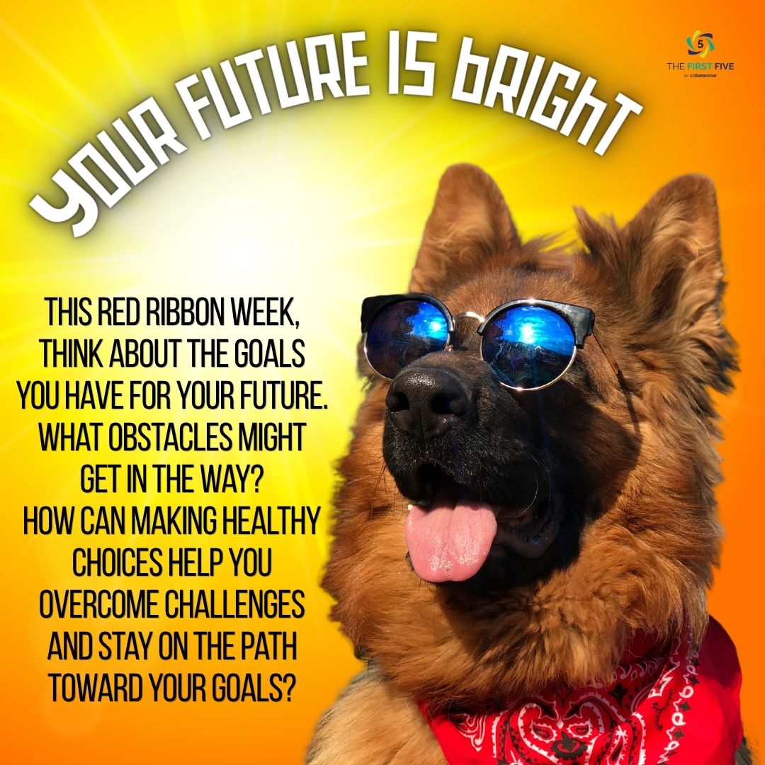 Bright Future Dog