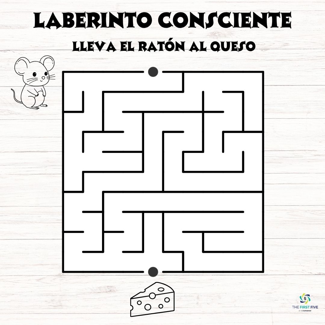 Laberinto del Ratón y el Queso