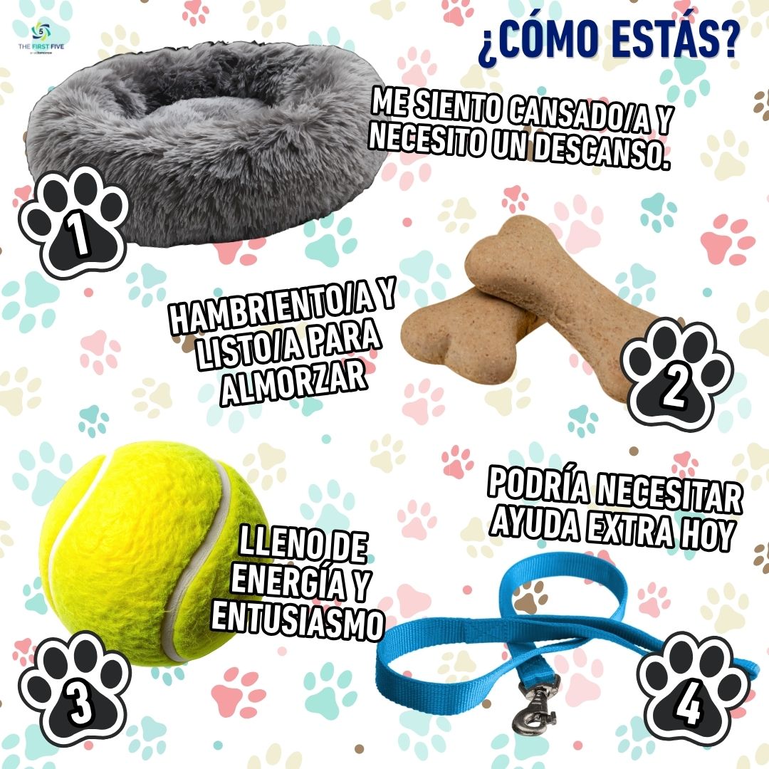 Artículos para Mascotas Sentimientos